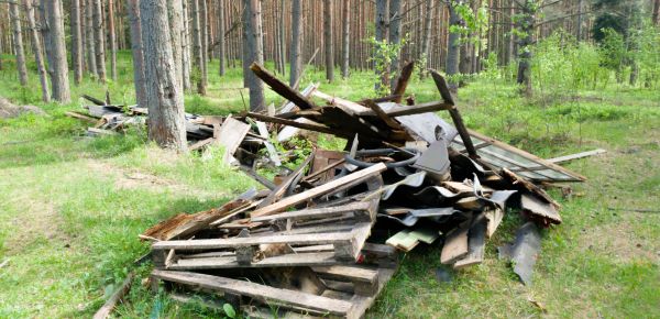 Debris Removal Service in Edison
