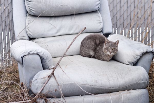 Recliner Disposal in Edison